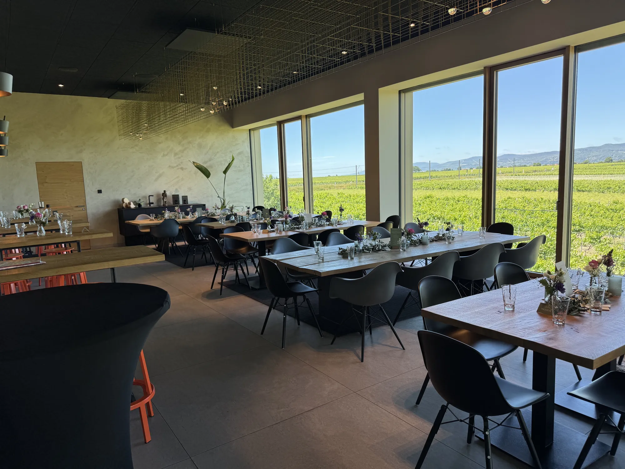 Weingut Lukas Kesselring (2)