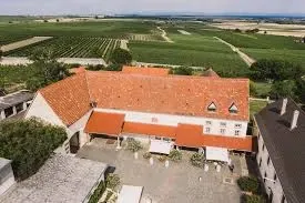 Hochzeitslocation Weingut Schloss Janson